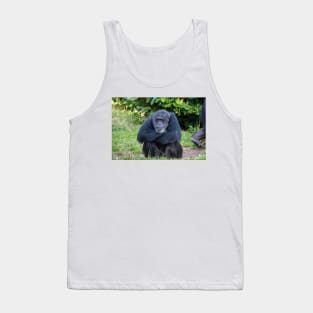 Chimpanzee Tank Top